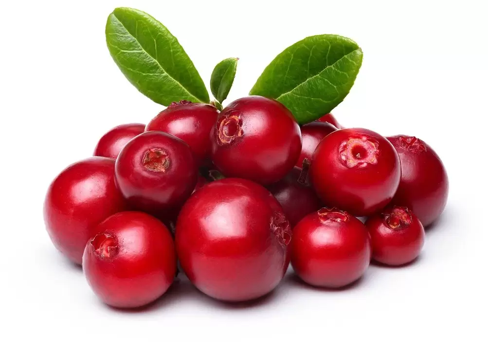 Cranberry în femixal